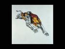 Lion Voltron: DVD art